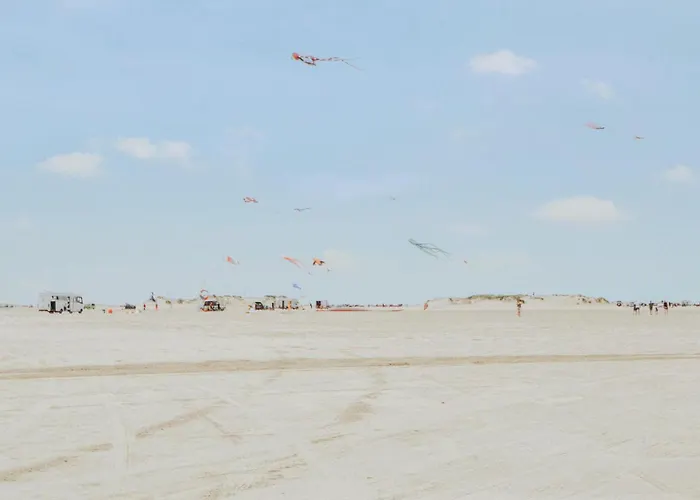 Cozy In With Sauna * Romo